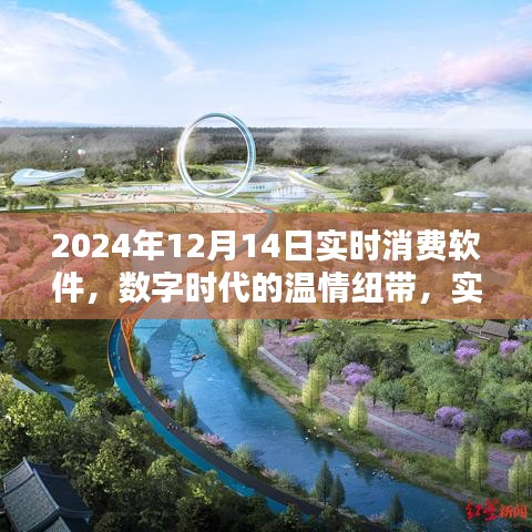 数字时代的温情纽带，实时消费软件的奇妙日常（2024年12月14日）