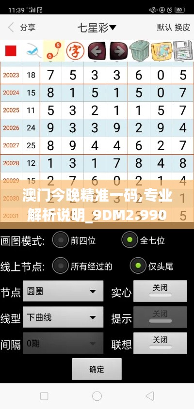 澳门今晚精准一码,专业解析说明_9DM2.990