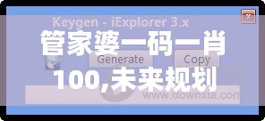 管家婆一码一肖100,未来规划解析说明_娱乐版1.204