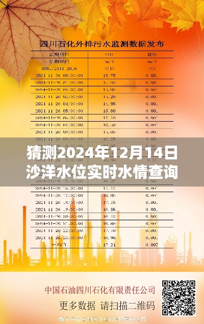 2024年沙洋水位实时水情查询产品全面评测与预测