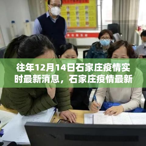 往年12月14日石家庄疫情实时更新与查询指南，最新消息获取指南及查询方法解析