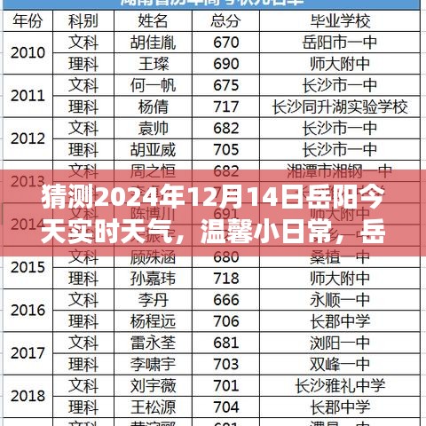 2024年12月18日 第5页