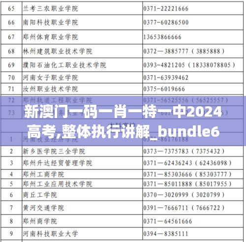 新澳门一码一肖一特一中2024高考,整体执行讲解_bundle6.169