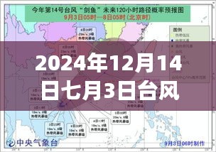 全面解读，2024年台风实时路径系统特性及七月三日台风路径评测