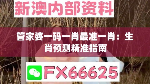 管家婆一码一肖最准一肖：生肖预测精准指南