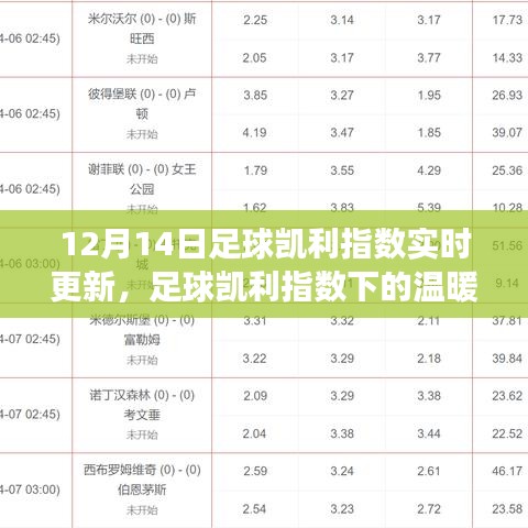 12月14日足球凯利指数实时更新，赛场上的温暖日常与友情见证