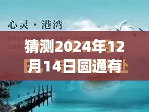 圆通之行，探索未知，内心平静之旅的实时预测（2024年12月14日）