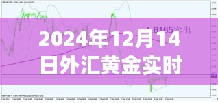 黄金市场风云变幻，最新外汇黄金实时报道解析（2024年12月14日）