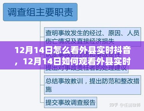 揭秘，如何观看外县实时抖音的三大要点解析（时间，12月14日）