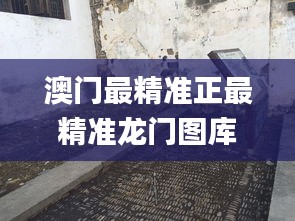 澳门最精准正最精准龙门图库,成果反馈落实_桌面版4.344