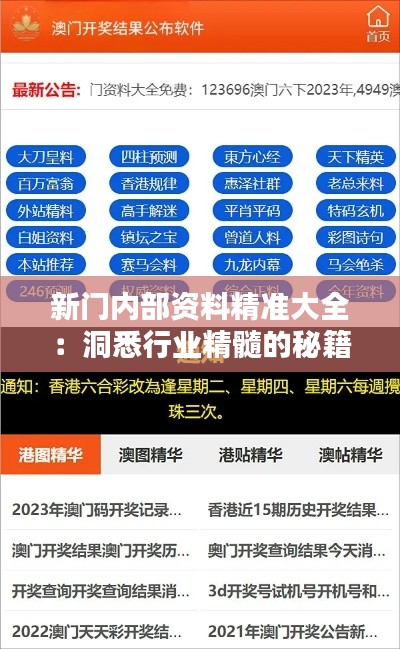 新门内部资料精准大全：洞悉行业精髓的秘籍