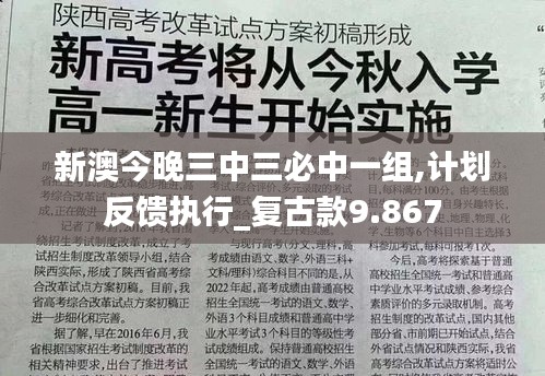 新澳今晚三中三必中一组,计划反馈执行_复古款9.867