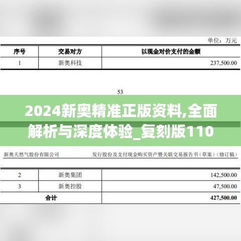 2024新奥精准正版资料,全面解析与深度体验_复刻版110.899