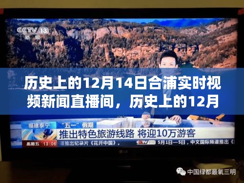 历史上的12月14日合浦实时视频新闻直播间，全面评测与详细介绍