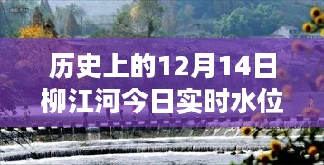 柳江河水位直播，历史与自然的探秘之旅，追寻柳江河水位实时动态