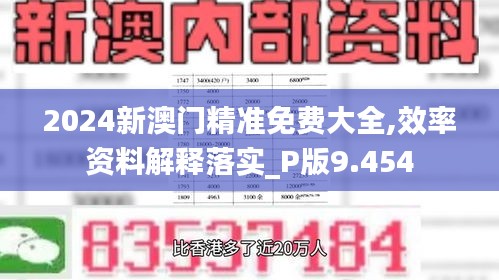 2024新澳门精准免费大全,效率资料解释落实_P版9.454