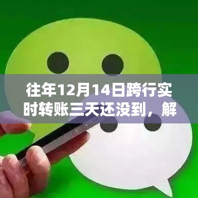 解决跨行实时转账延迟问题，12月14日转账三天未到账解决步骤指南（适用于初学者与进阶用户）