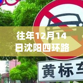 沈阳四环路暖心日常，12月14日的实时故事与日常观察