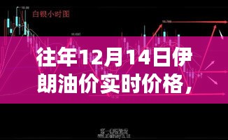 往年12月14日伊朗油价回顾，实时价格分析与趋势展望