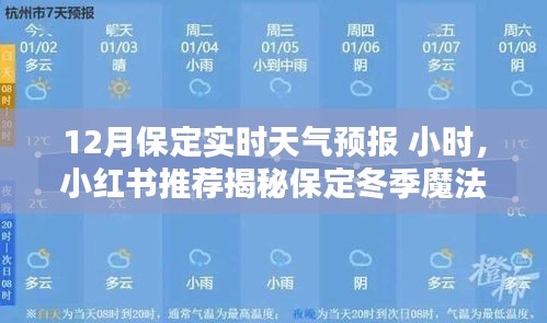 保定冬季天气预报揭秘，小时级精准预测与小红书推荐指南