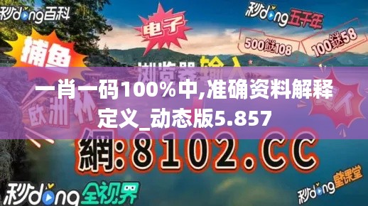 一肖一码100%中,准确资料解释定义_动态版5.857