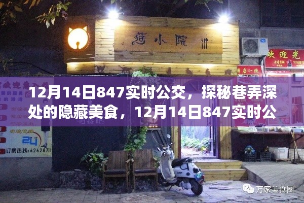 探秘巷弄深处的隐藏美食，特色小店与实时公交847的相遇（12月14日）