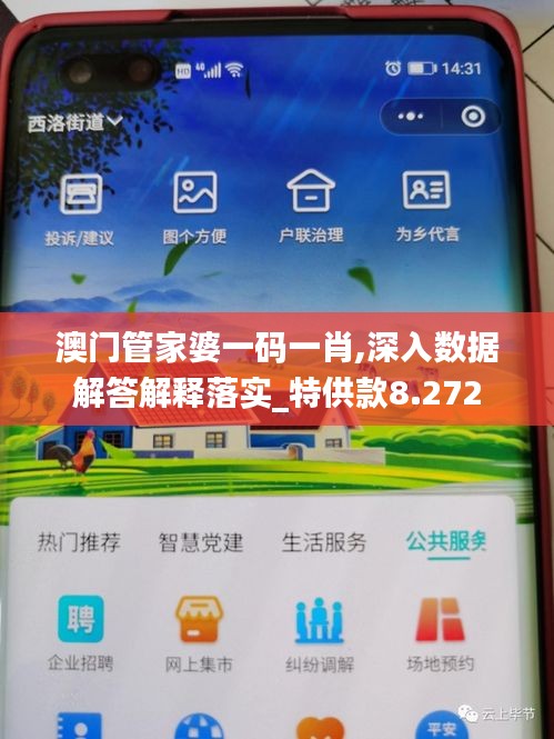 澳门管家婆一码一肖,深入数据解答解释落实_特供款8.272