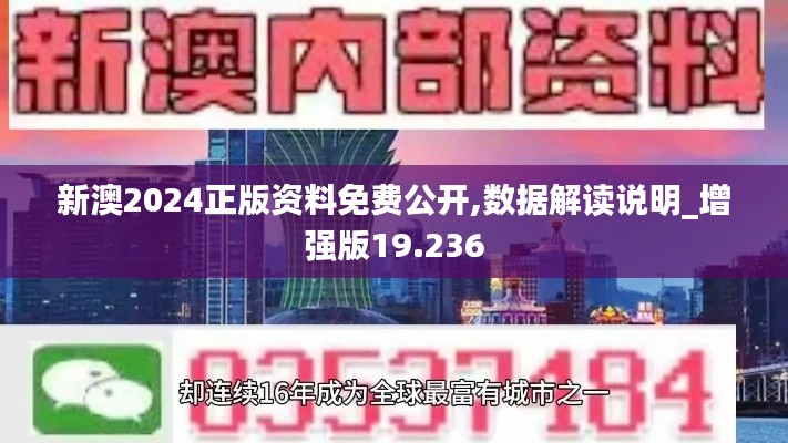 新澳2024正版资料免费公开,数据解读说明_增强版19.236