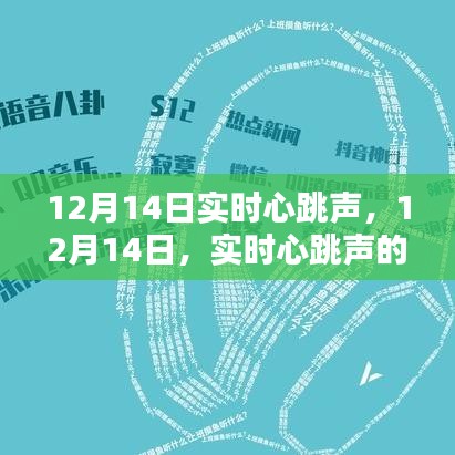 12月14日实时心跳声，科学探索与体验之旅