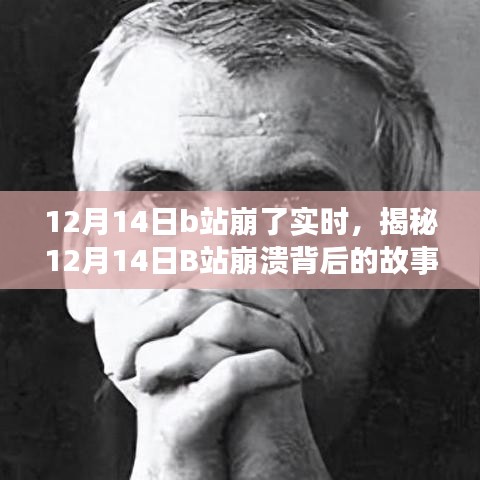 揭秘B站崩溃背后的故事，深度解析与实时洞察（12月14日）