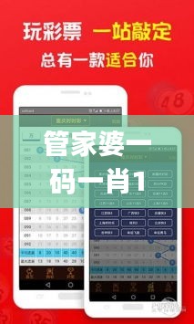 管家婆一码一肖100中奖,定量分析解释定义_QHD8.792