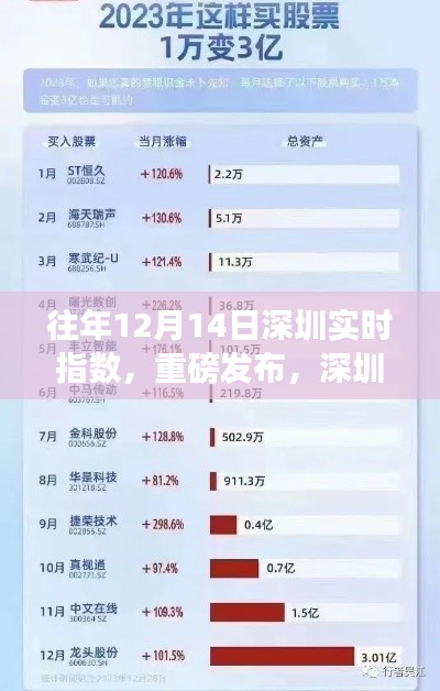 2024年12月19日 第9页