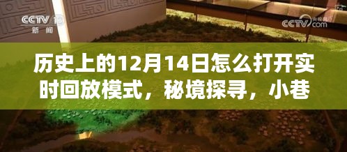 历史上的十二月十四日，探寻秘境与特色小店的实时回放模式之旅