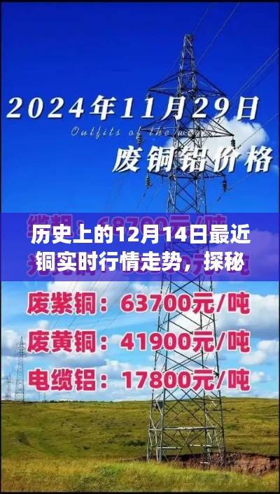 探秘铜行情秘境，特色小店故事与历史上的铜实时行情走势（12月14日）