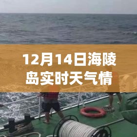 12月14日海陵岛实时天气变化与个人体验探讨，天气分析与体验分享