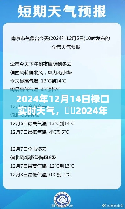 禄口小镇冬至时节实时天气记录（2024年12月14日）