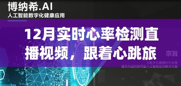 心跳与自然的交响，12月实时心率检测直播视频之旅