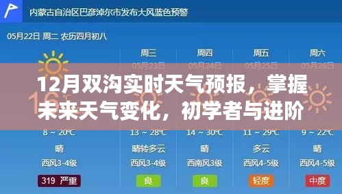 初学者与进阶用户必备，掌握未来天气变化的12月双沟实时天气预报指南