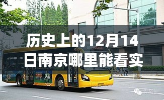 南京公交变迁日，透过车窗看历史与励志人生，实时公交查询指南 12月14日回顾篇