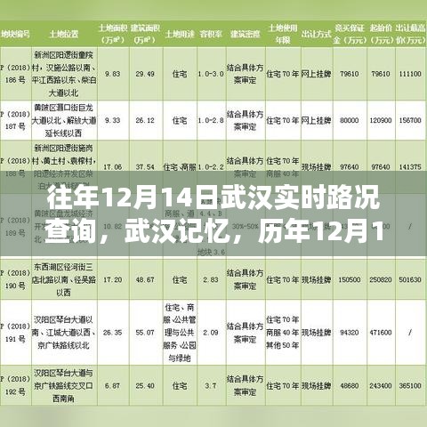 历年12月14日武汉实时路况深度解析与武汉记忆回顾