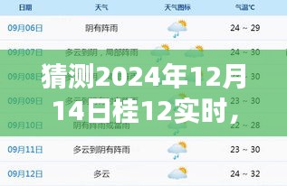 揭秘未来桂12实时动态，探寻2024年12月14日的无限可能及预测揭秘