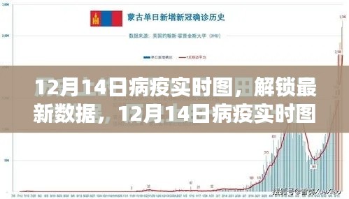 12月14日病疫实时图，最新数据深度解析与疫情动态观察