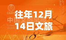 往年12月14日文旅直播数据狂欢盛宴揭秘，数据盛宴与狂欢之夜回顾