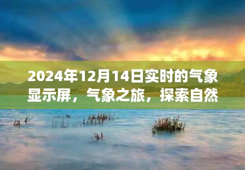 气象之旅，实时气象显示屏揭示自然美景的奇妙旅程