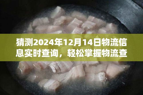 2024年12月14日物流信息实时查询指南，掌握技巧，轻松预测与查询