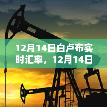 12月14日白卢布实时汇率及全面评测介绍