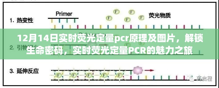 联系我们 第7页