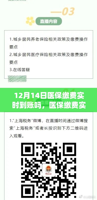 12月14日医保缴费实时到账问题探讨，实时到账情况分析