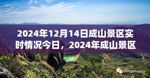 2024年成山景区今日实时情况概览