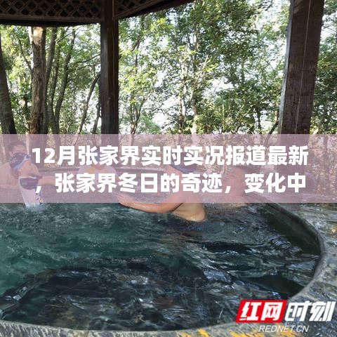 揭秘张家界冬日的奇迹，实时实况报道下的自信之光与变化中的学习力量